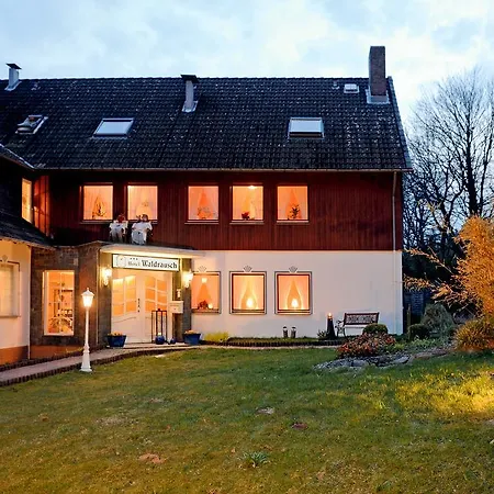 Waldrausch Hotell 3*