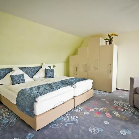 Waldrausch Hotel 3*