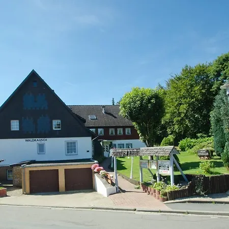 Hotel Waldrausch 3*