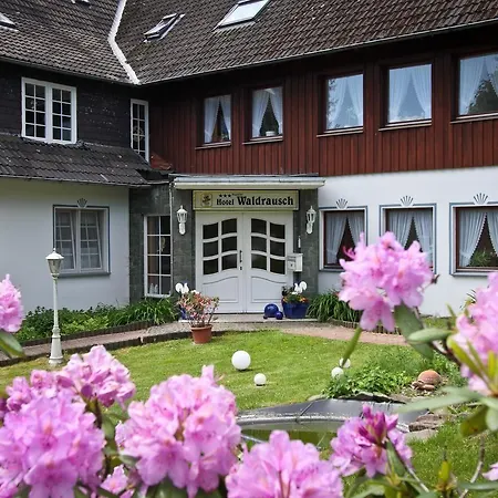 Waldrausch Hotel Goslar